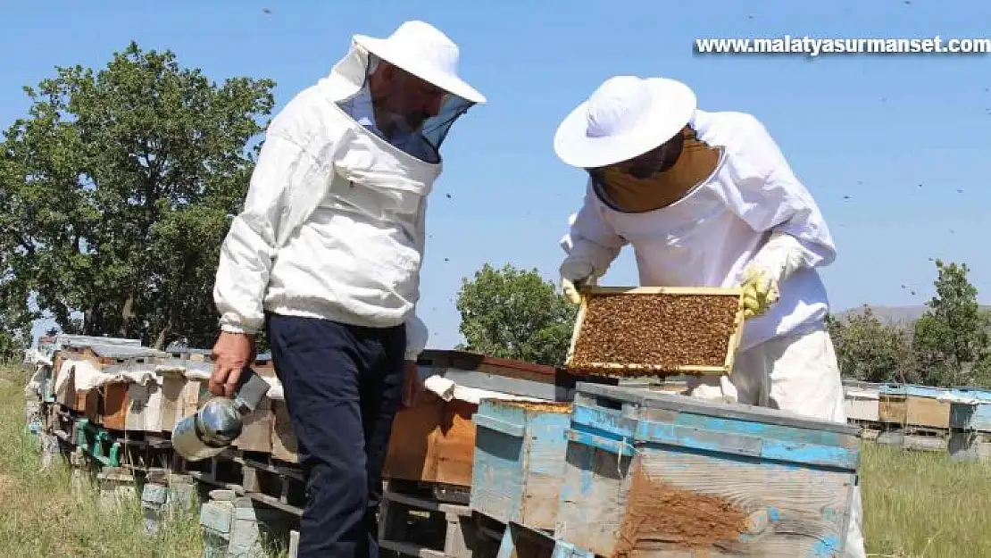 Sert geçen kış ve yaşanan kar yağışı arıcıları sevindirdi, verimli bir sezon bekleniyor