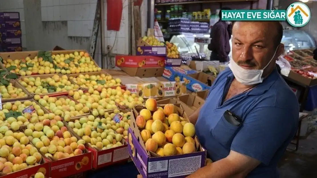 Sezonun son yaş kayısıları tezgahlarda