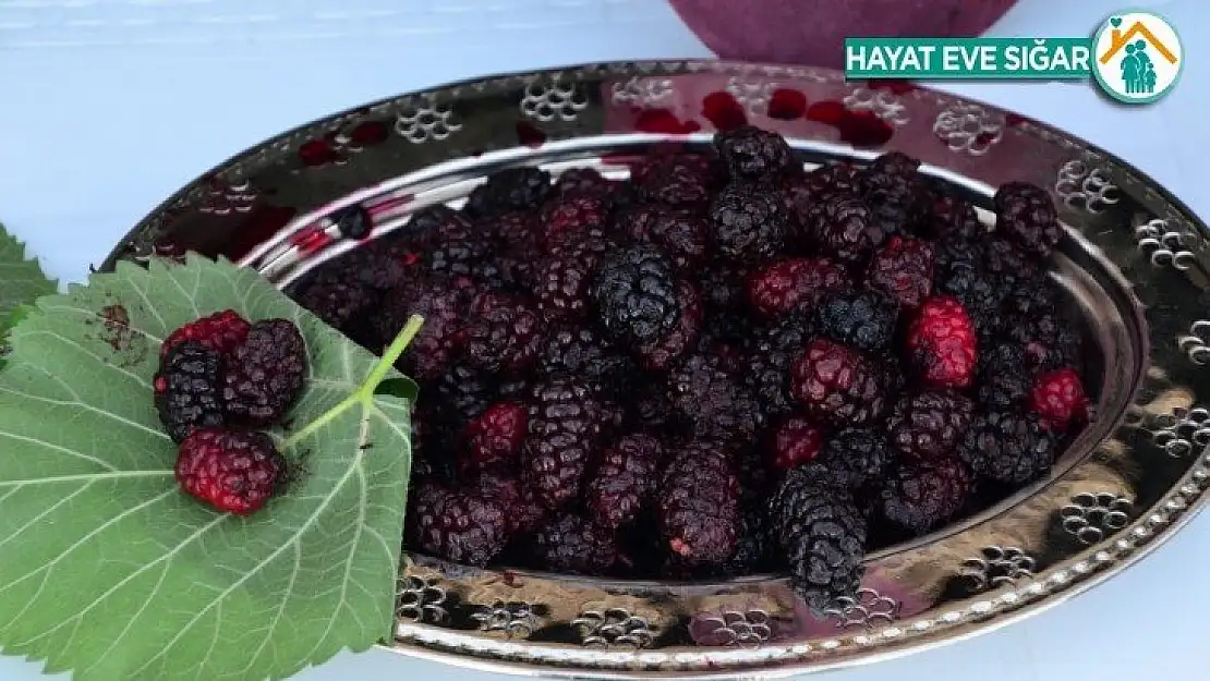 Şifa kaynağı Horum dutu pekmezi gramla satılıyor