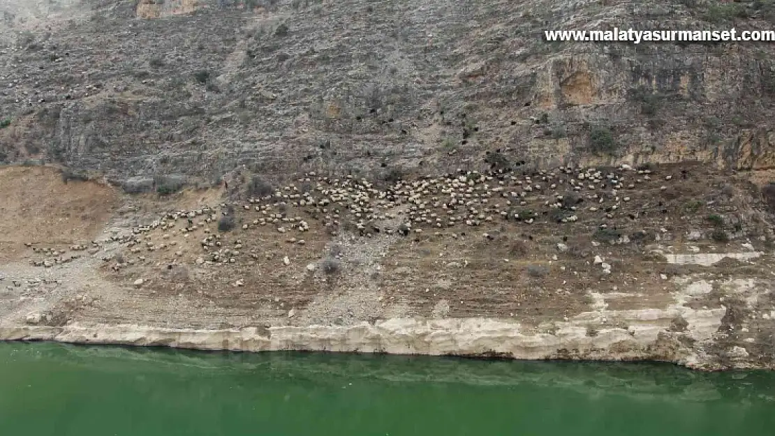 Siirt'te baraj suyu yolları kapattı