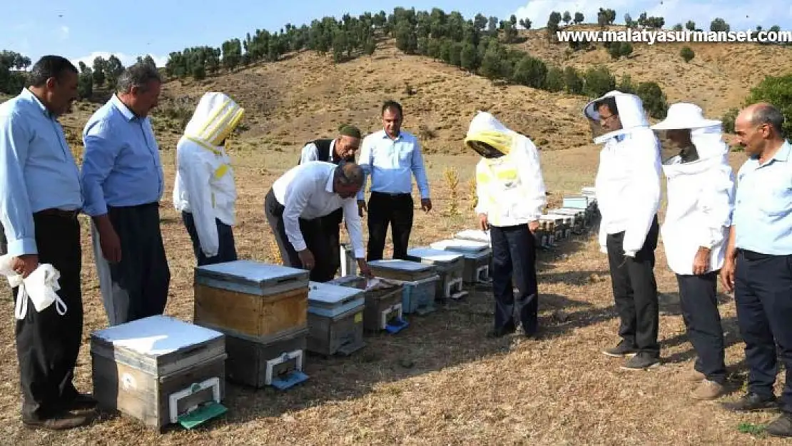 Sincik'te bal sağım sezonu başladı