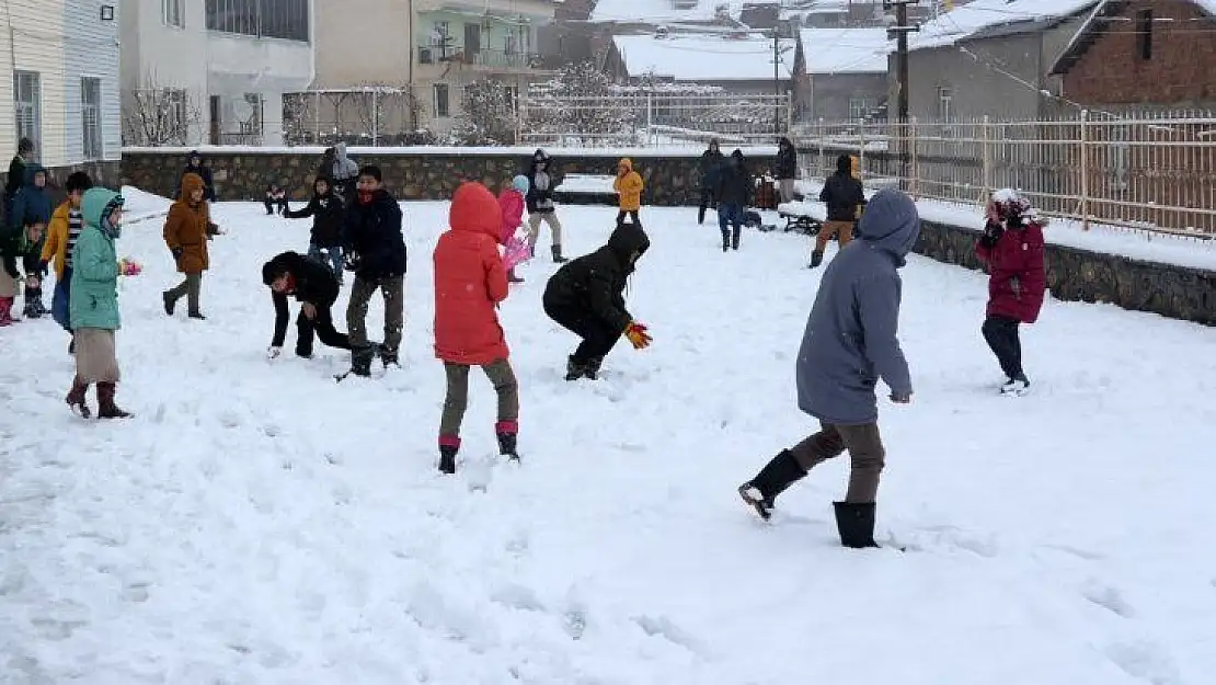 Sincik'te okullar tatil edildi