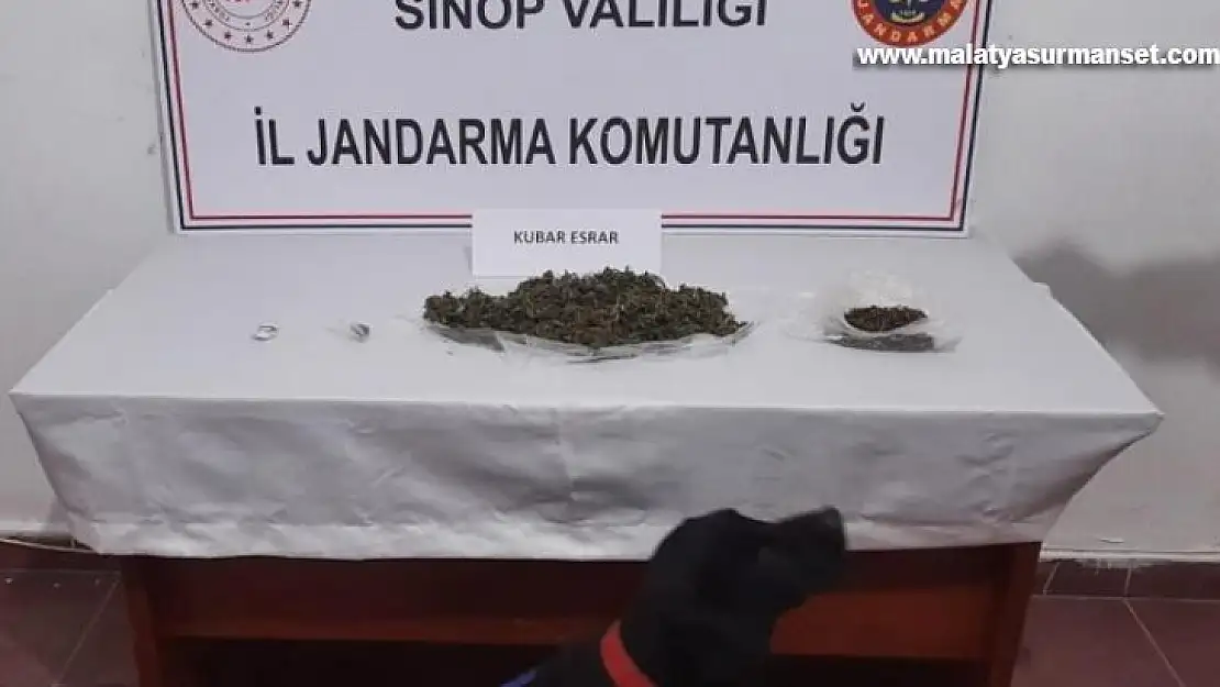 Sinop'ta uyuşturucu operasyonunda 2 kişi tutuklandı