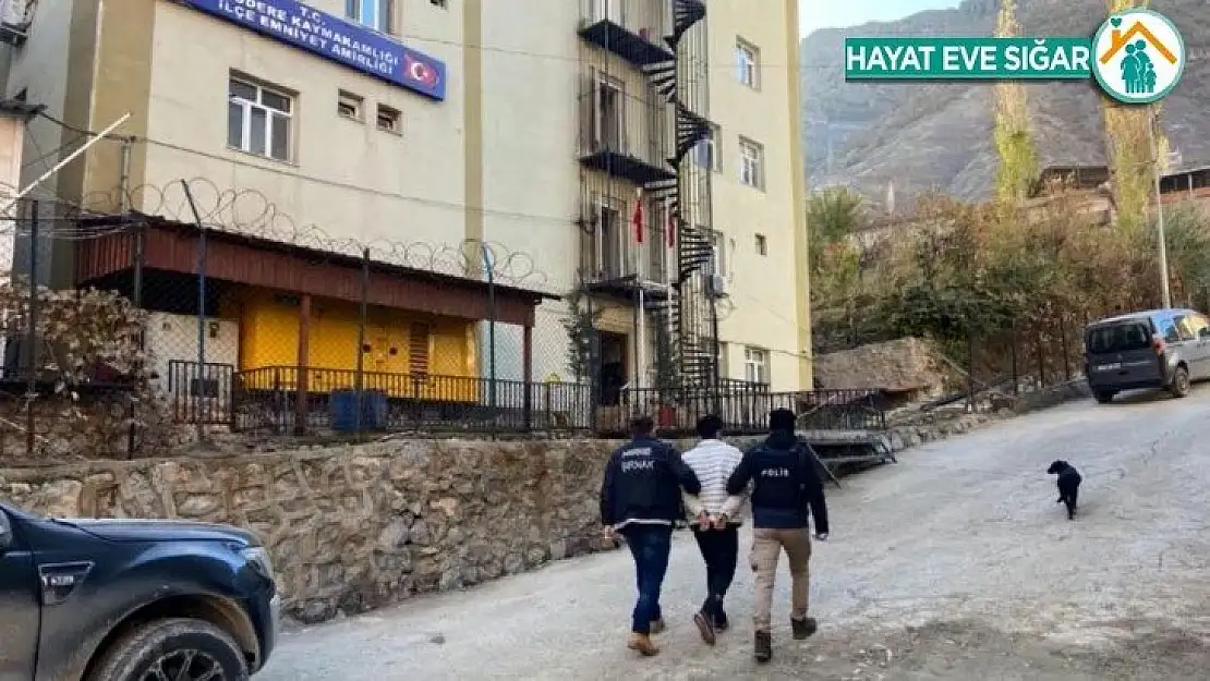 Şırnak'ta uyuşturucu operasyonu: 13 gözaltı