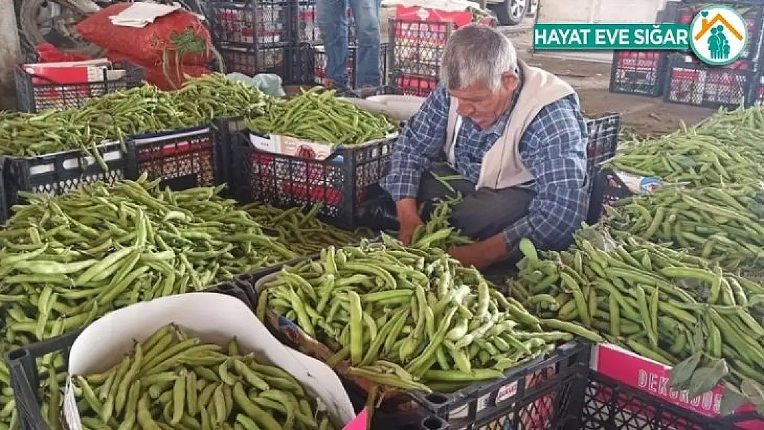 Sokağa çıkma yasağı sebze üreticilerini vurdu