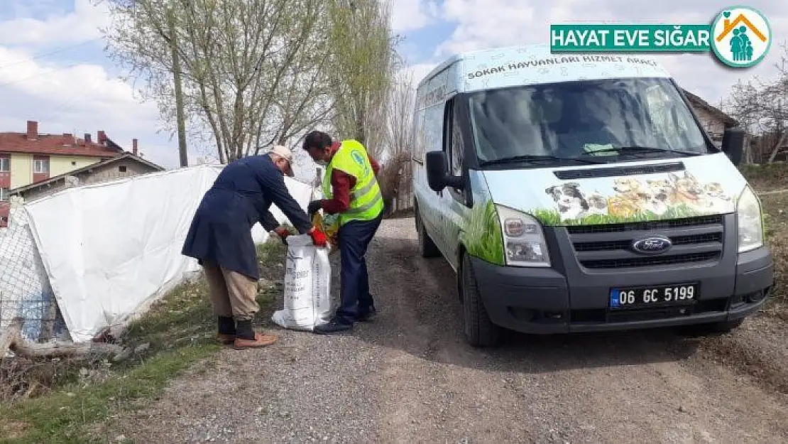 Sokağa çıkma yasağında sevimli dostlara şefkat eli