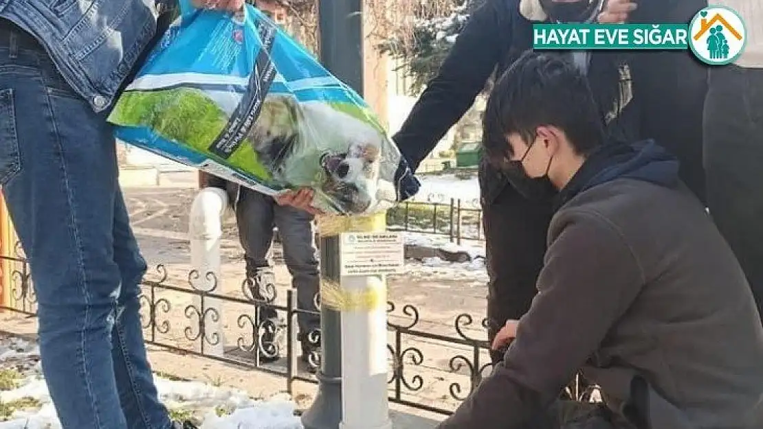 Sokak hayvanları unutulmadı