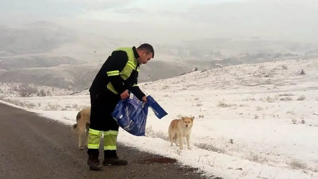 Sokak hayvanlarına mama desteği