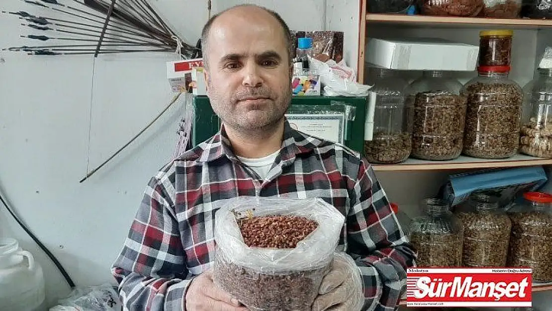Sumak yok satıyor