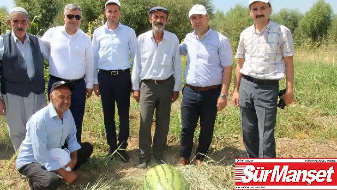 Sur Kaymakamı Abdullah Çiftçi, karpuz tarlasını ziyaret etti