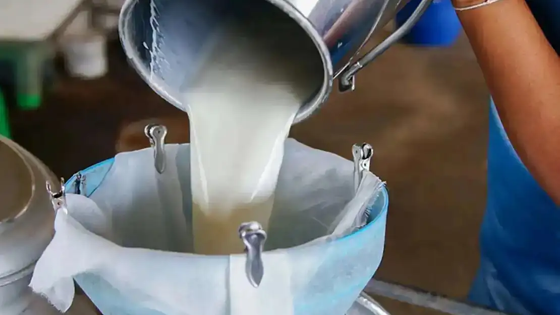 Süt ve Süt Ürünleri Üretimi Mart'ta Nasıl Bir Değişim Gösterdi?