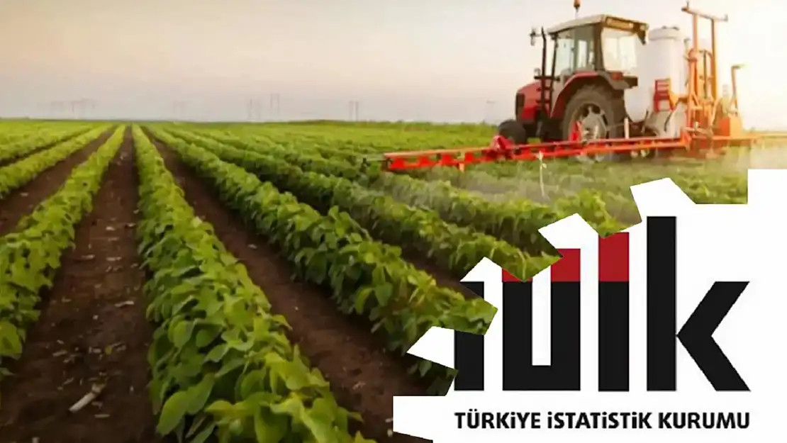 Tarım Ürünlerinde Temmuz Ayı Endeksi Şaşırttı
