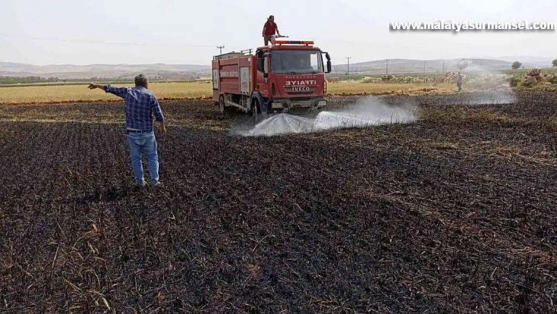 Tarlada çıkan yangında 5 dönüm buğday küle döndü