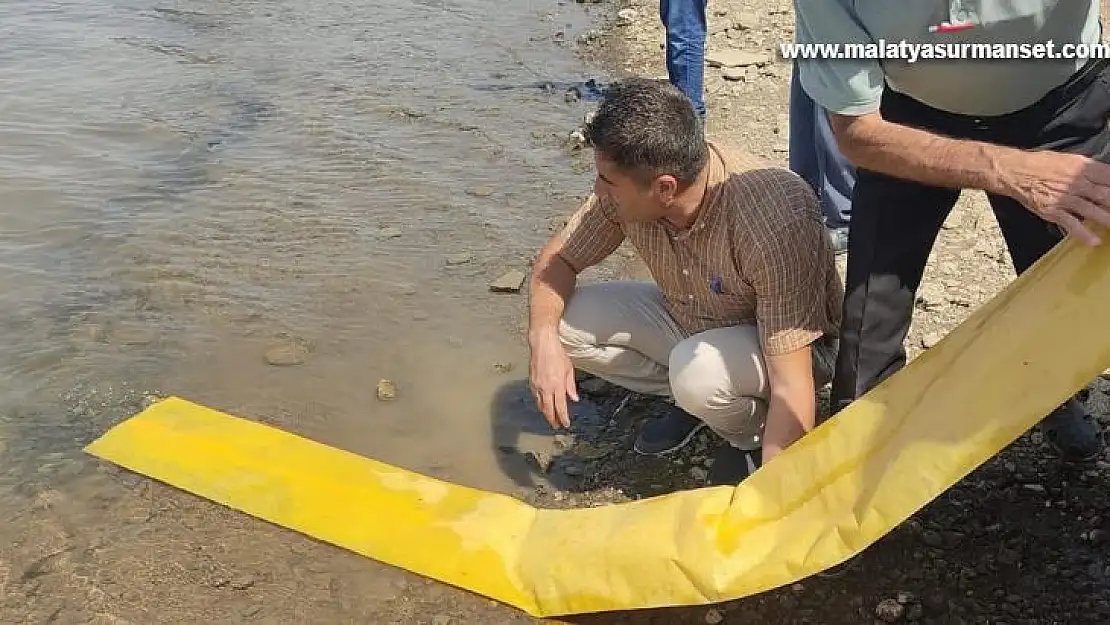 Tatar baraj gölüne 200 bin pullu sazan bırakıldı