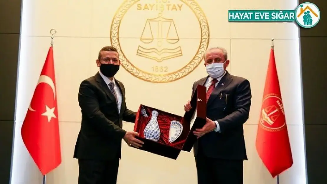 TBMM Başkanı Şentop: