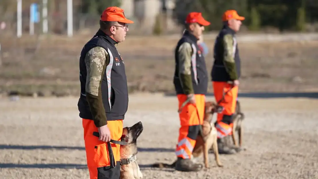 TSK'nın arama kurtarma köpekleri doğal afetlerde hayat kurtarıyor