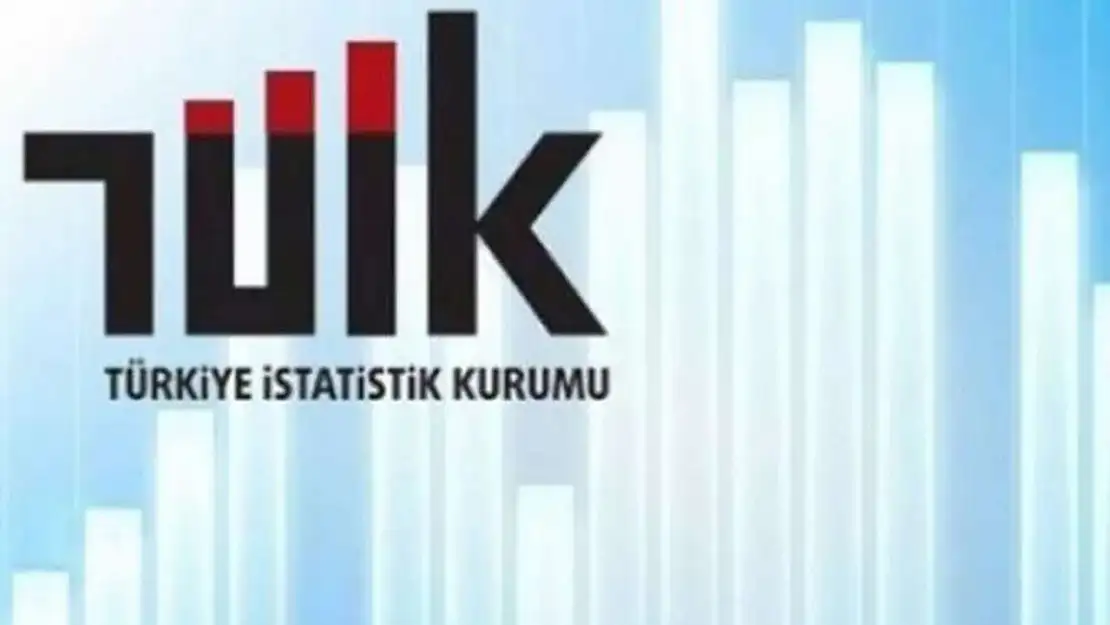 TÜİK 2023 girişim istatistiklerini açıkladı