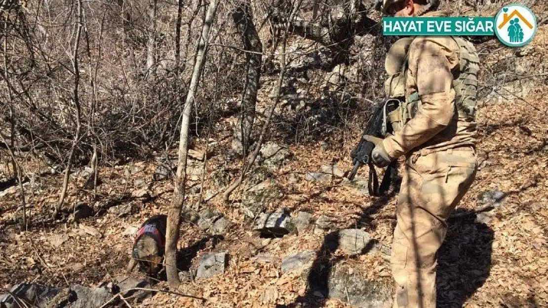 Tunceli'de Eren-7 Mercan-Munzur operasyonunda 2 sığınak imha edildi