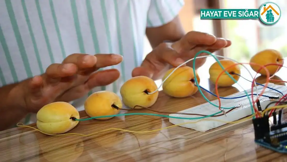 Tuşları kayısıdan olan piyano yaptı, görenler gözlerine inanamadı