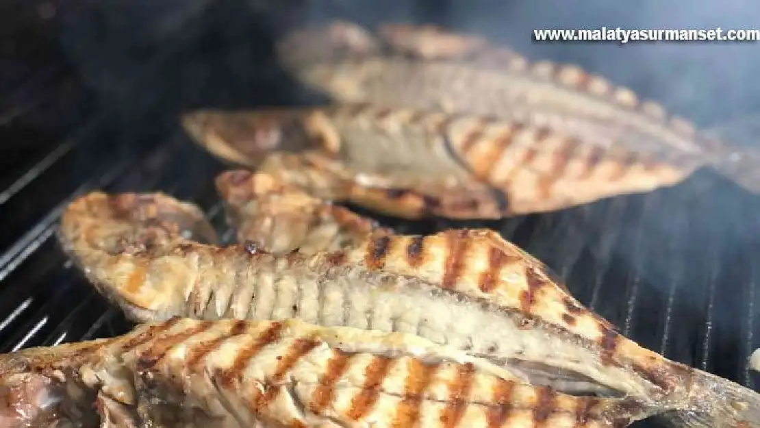 Ucuz balık Diyarbakır'a ulaştı, ciğerin tahtı sallandı