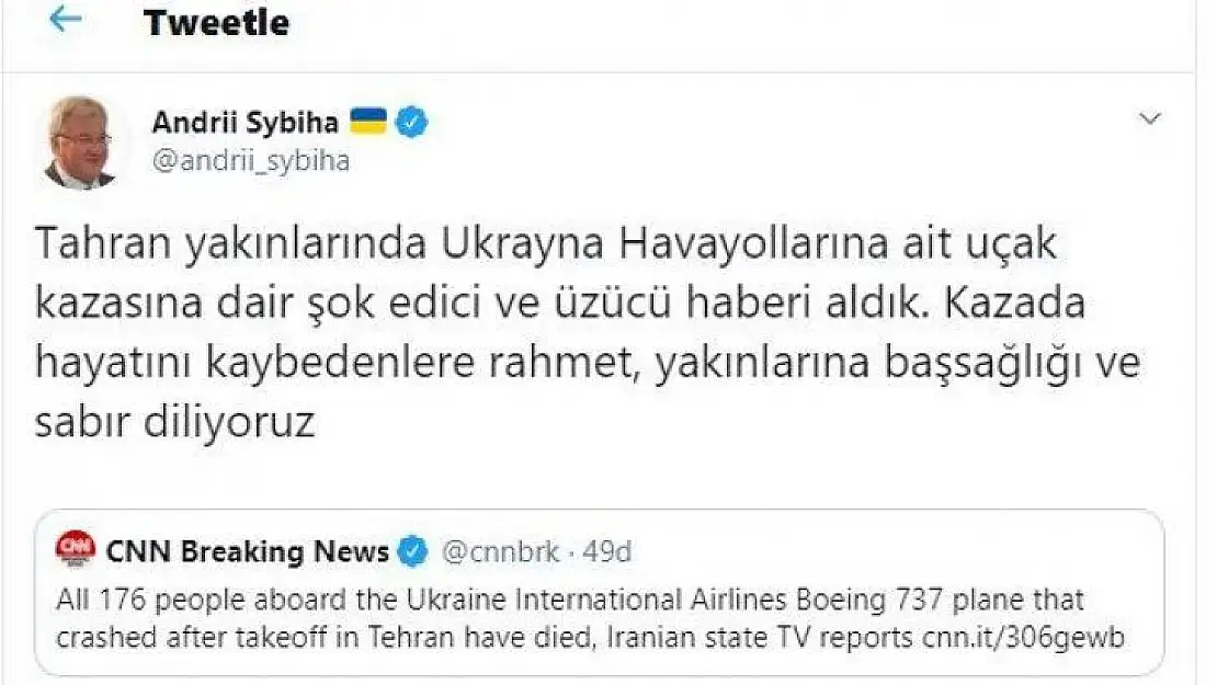 Ukrayna Büyükelçisinden uçak kazasına ilişkin açıklama