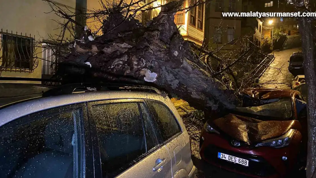 Üsküdar'da yarım asırlık akasya ağacı 2 otomobilin üzerine devrildi