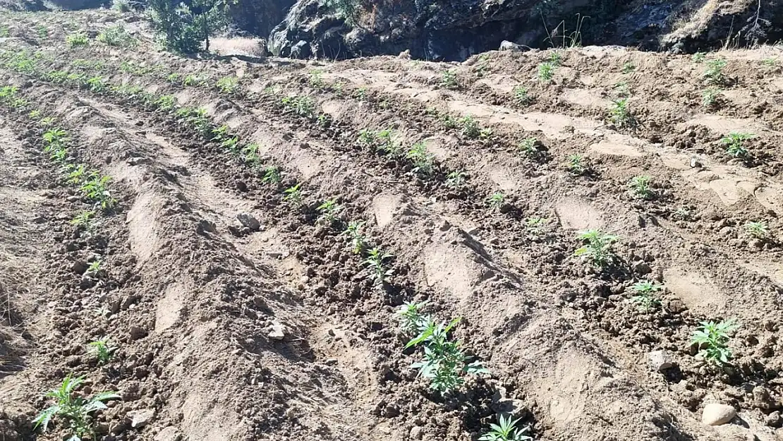 Uyuşturucuya Ağır Darbe!