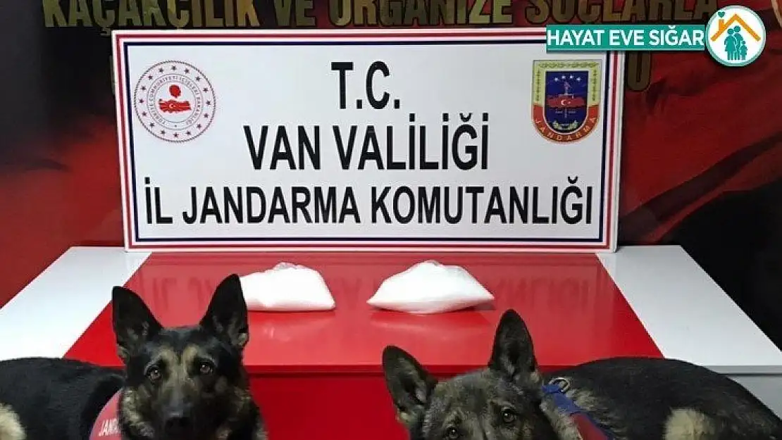 Van'da 2 kilo metamfetamin ele geçirildi