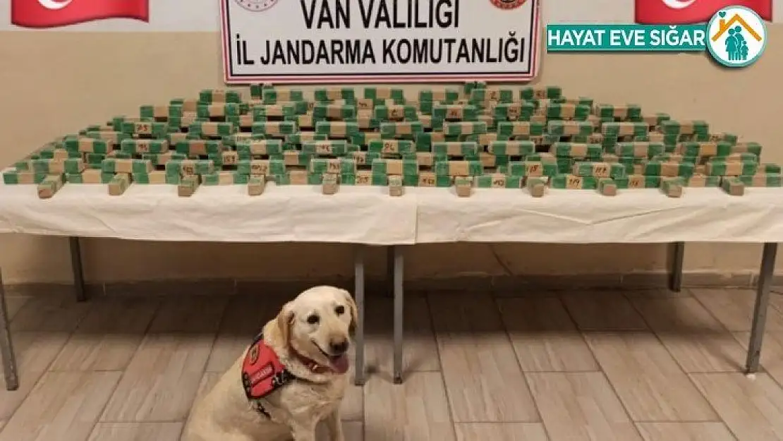 Van'da 62 kilo eroin ele geçirildi