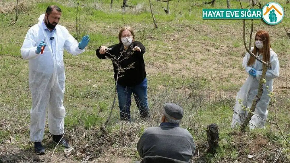 Vefa ekipleri 80 yaşındaki çiftçinin bahçesinde budama yaptı