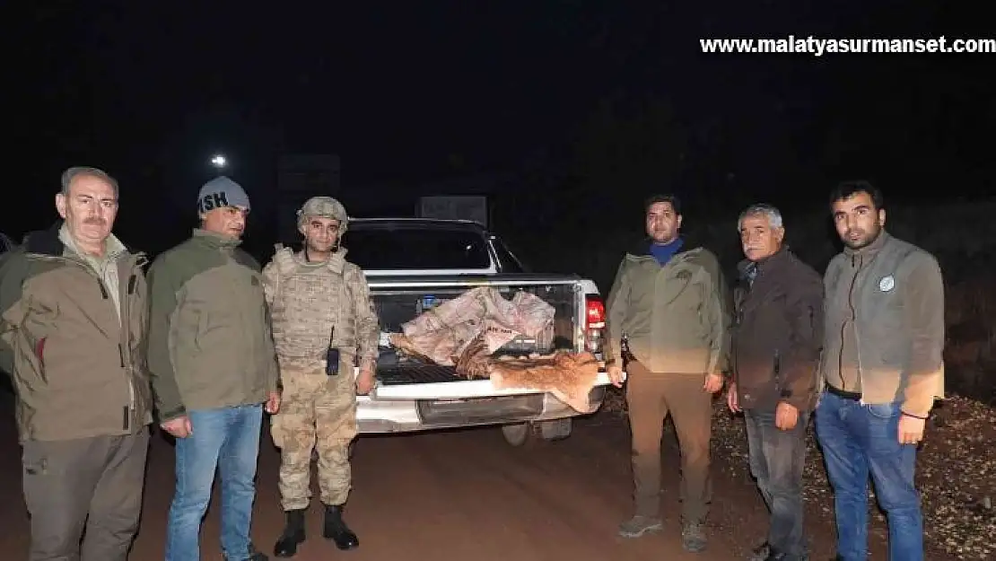 Yabani dağ keçisini vuran şahsa 63 bin TL ceza