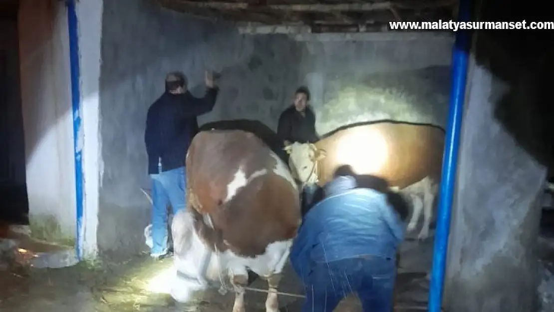 Yağışlara dayanamayan ev ve ahır çöktü