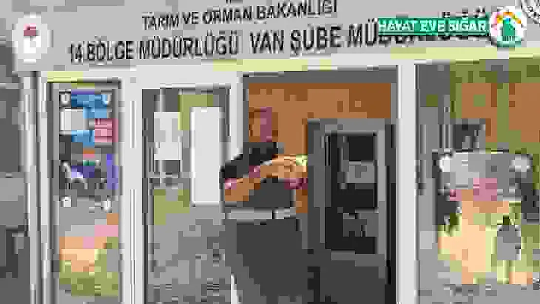 Yaralı kuşlar tedavi altına alındı