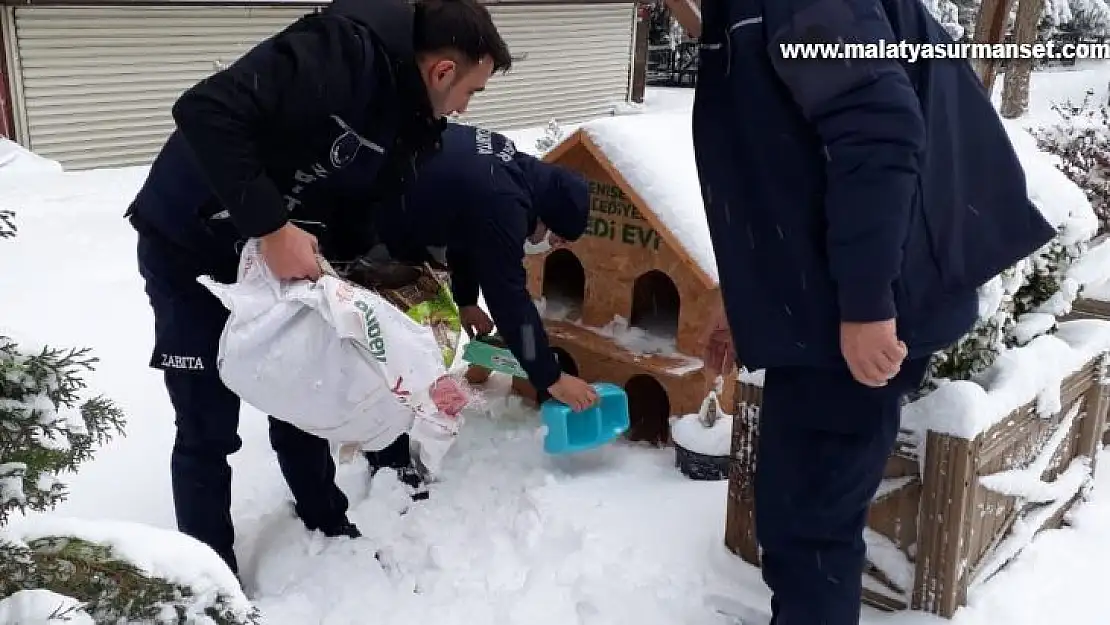 Yenişehir Belediyesi 'can dostları' unutmadı