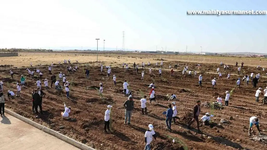 Yenişehir'de 500 fidan toprakla buluştu