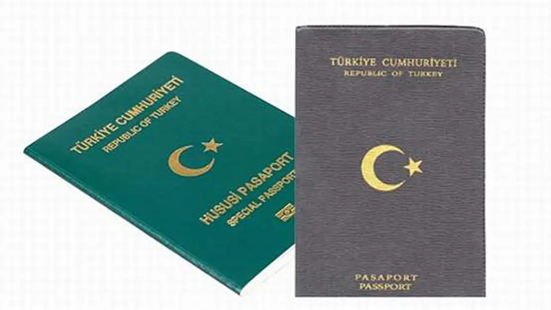 Yeşil ve gri pasaporta vize uygulanacak mı?