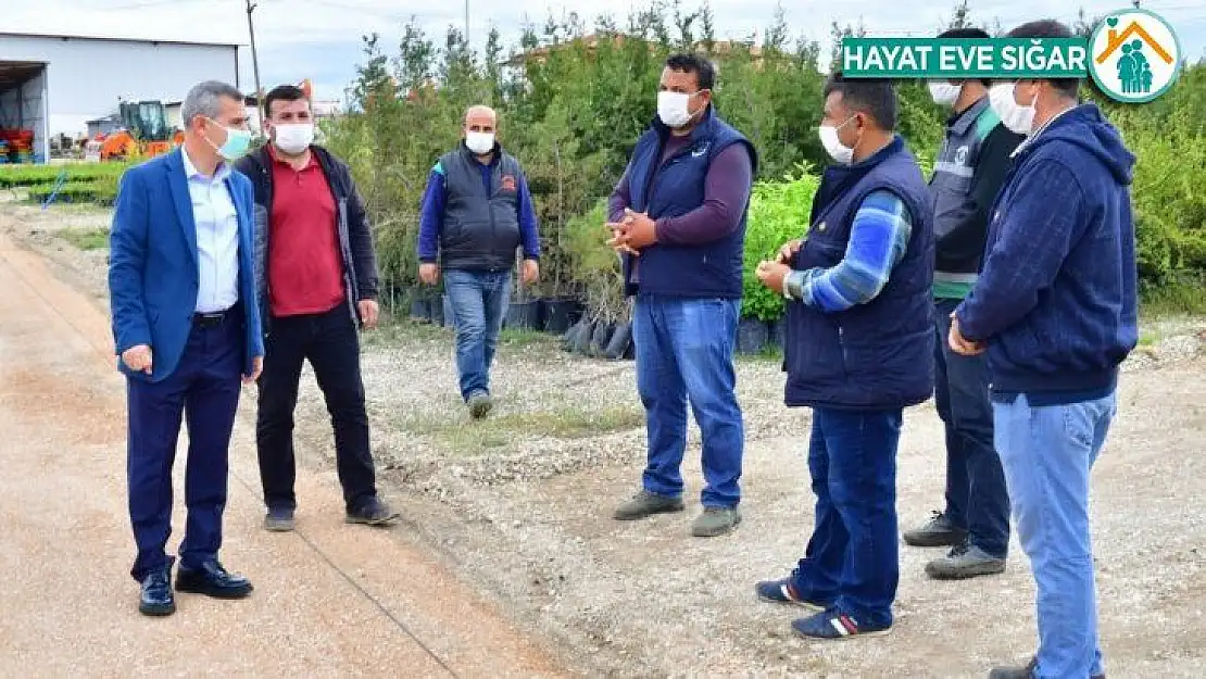 Yeşilyurt Belediyesi, Fidanlık Alanı'nı yeniliyor