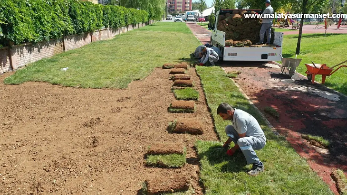 Yeşilyurt Belediyesi, rulo çim üretiminde hedefleri aştı