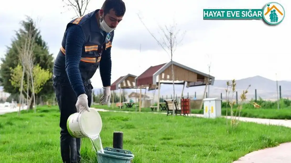 Yeşilyurt Belediyesi sokak hayvanlarını unutmadı