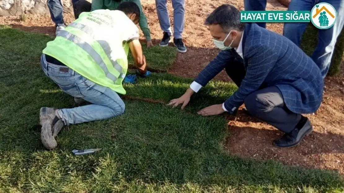 Yeşilyurt Belediyesi tarımsal üretim ve ar-ge sahasında 15 bin metrekare rulo çim üretildi