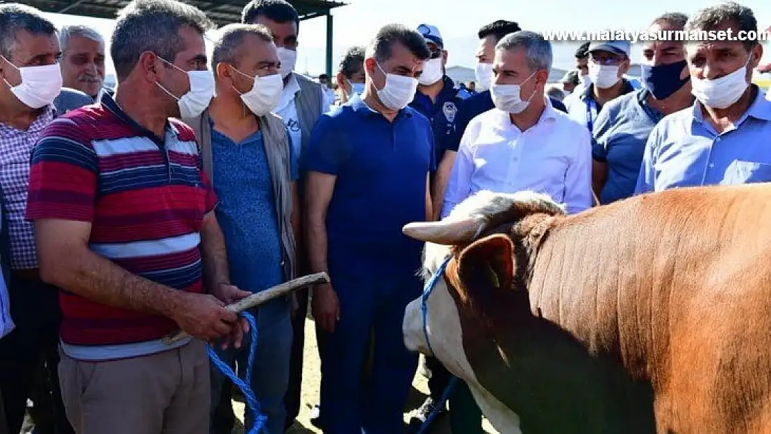 Yeşilyurt'ta bayram hazırlıkları tamamlandı, 44 noktada kurban satış ve kesim işlemleri yapılacak