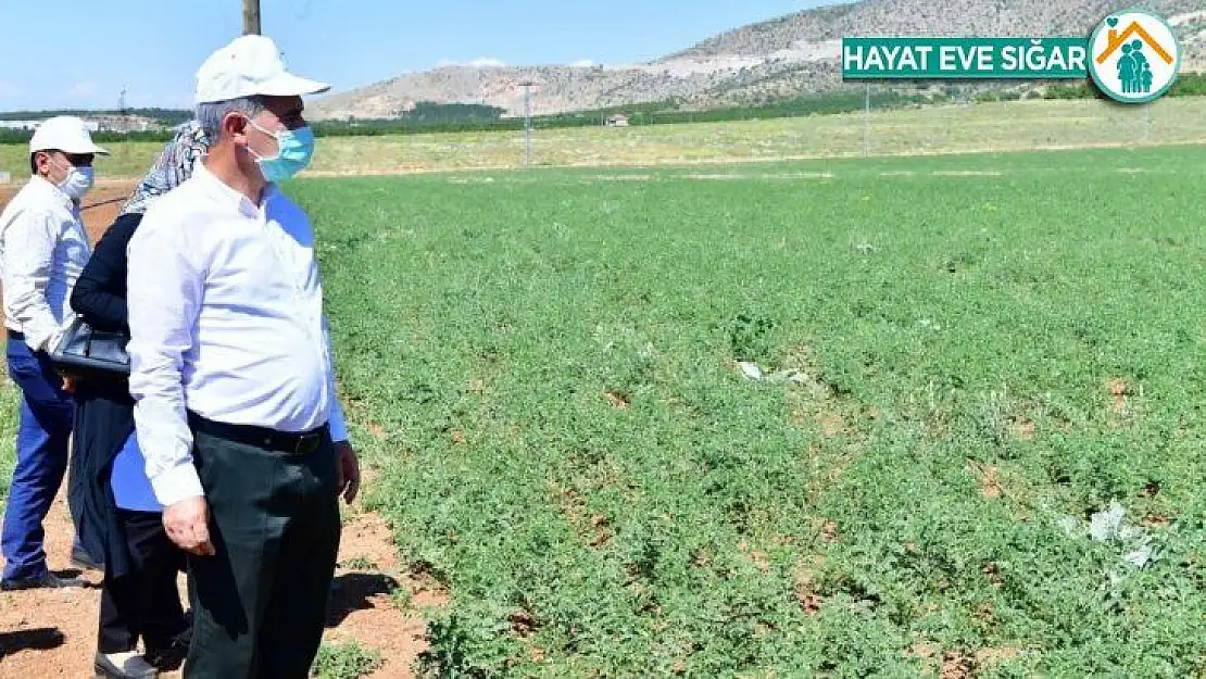 Yeşilyurt'ta tarımsal üretim ve Ar-Ge sahası kuruldu