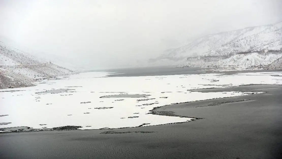 Yüzen adalar buz kesti