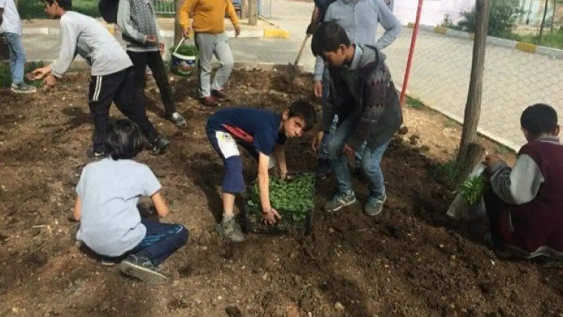 Ziraat mühendisi adayından Genç Mühendisler Projesi