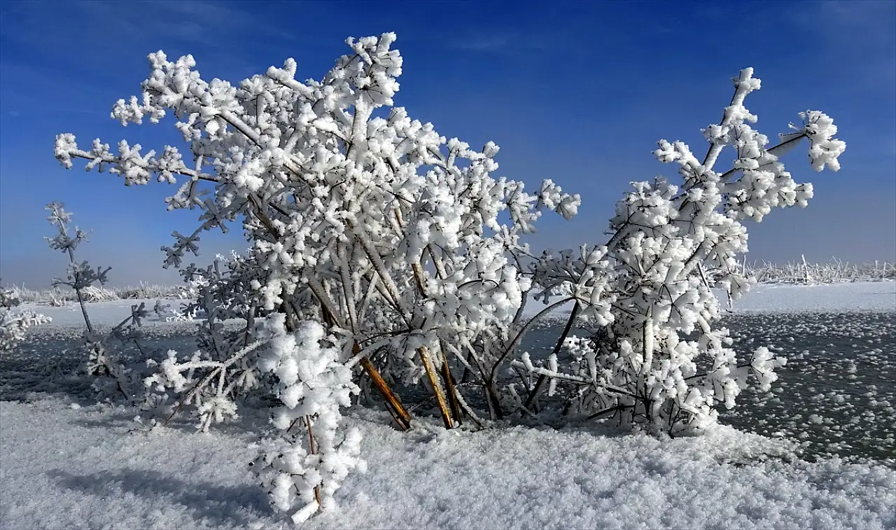 Soğuk Hava Ve Tipi Hayatı Olumsuz Etkiledi