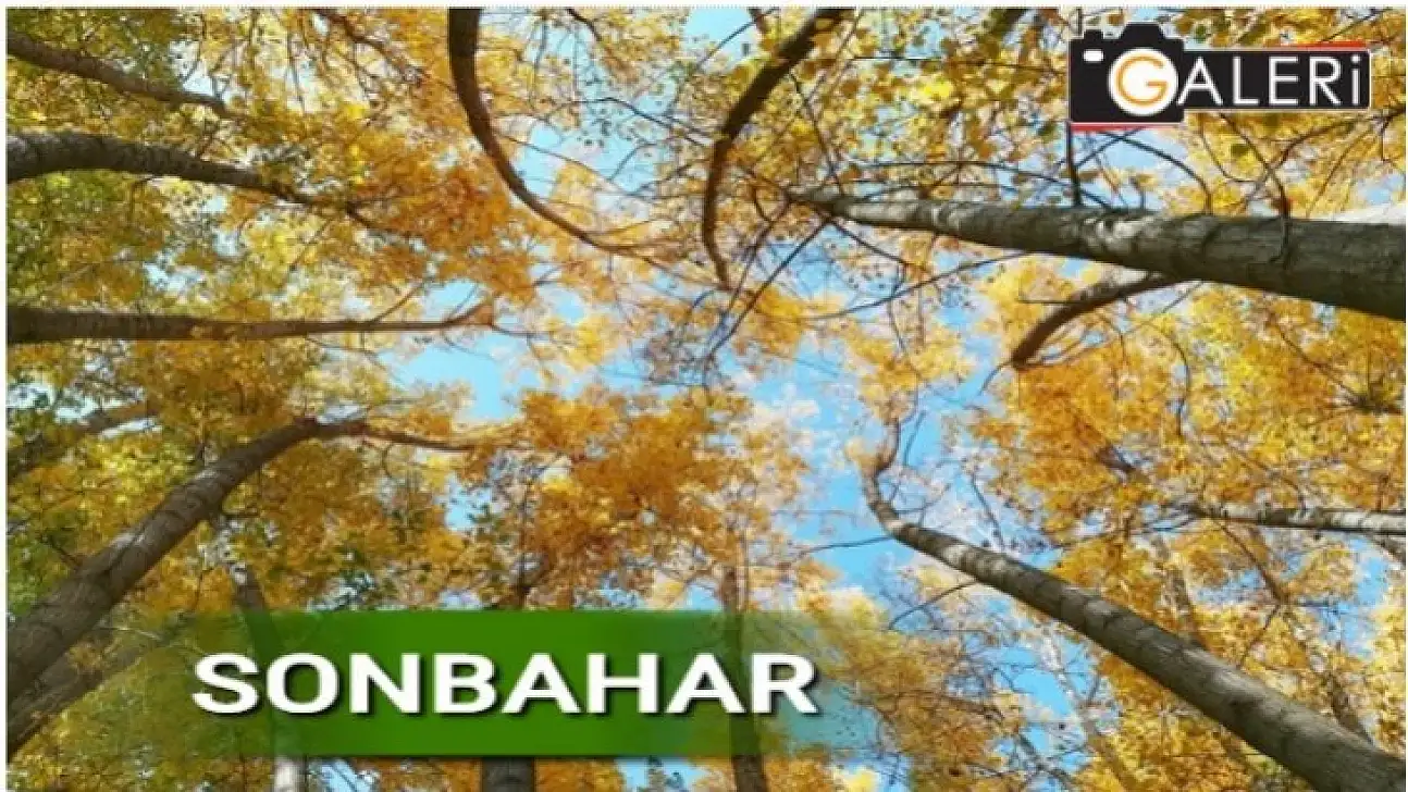 Sonbahar'dan Kareler