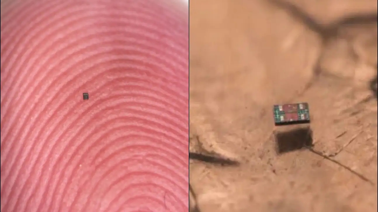 Bilim İnsanları Başardı: Tuz Tanesi Kadar Otonom Robot