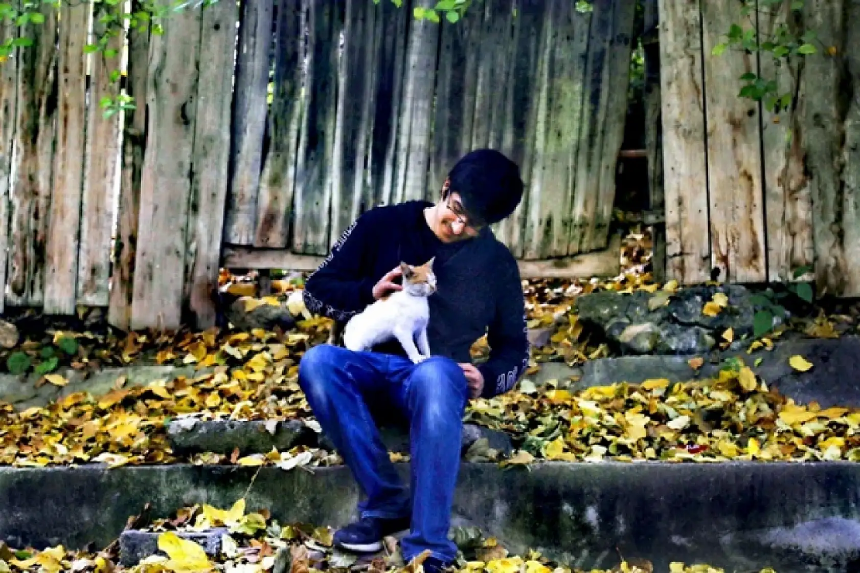 Sonbahar'dan Kareler