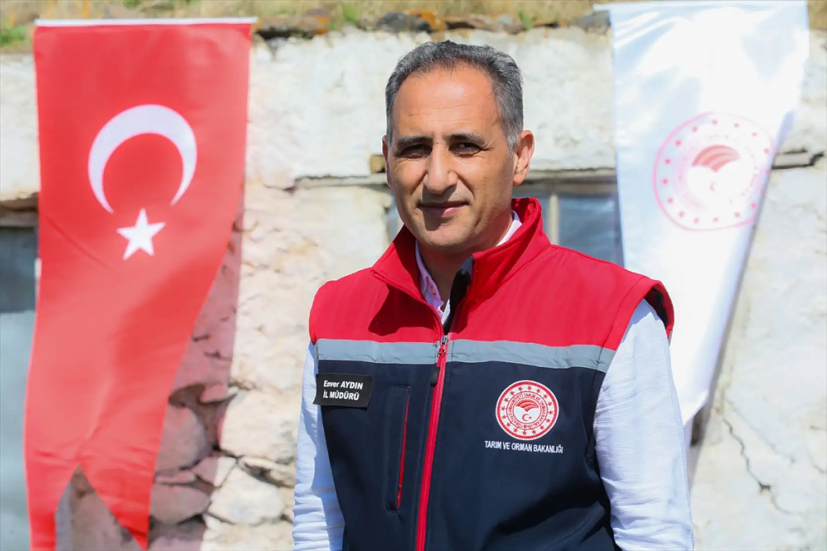 Kars'ta asırlık koç katım geleneği renkli görüntülerle yaşatılıyor