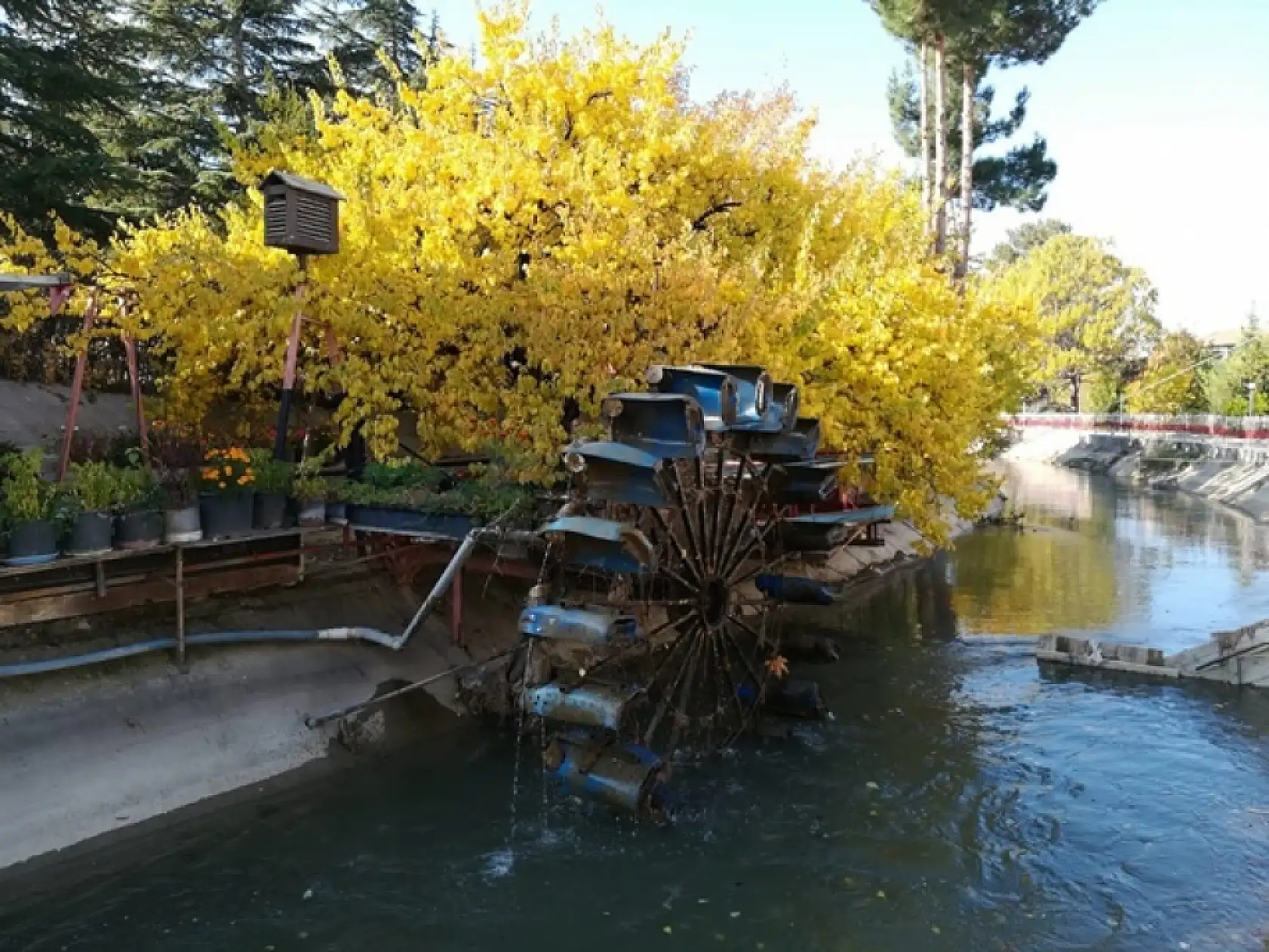 Sonbahar'dan Kareler